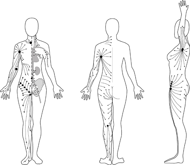 Normal lymph flow in skin, towards the lymph nodes