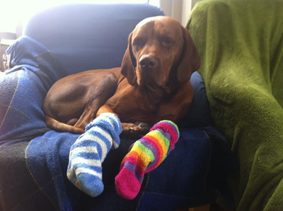 Sock it to lymphoedema!