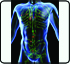 Lymphoedema Research Prioritisation Partnership